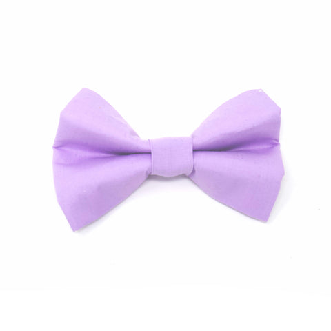 Lavender - Bow Tie