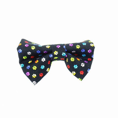 Mini Colorful Paws - Bow Tie