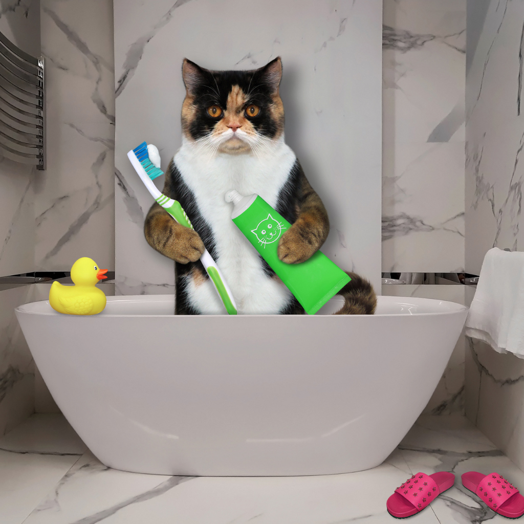 6 Best Cat Toothpastes of 2024