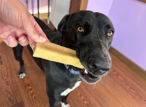 The Benefits of Yak Chews for Dogs