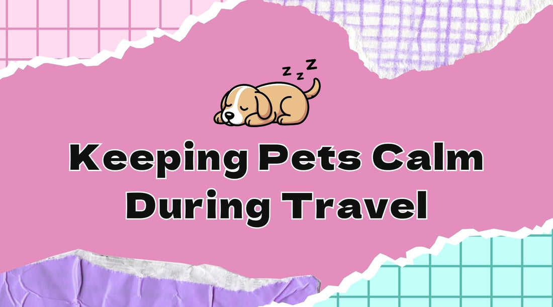 Keeping Pets Calm During Travel