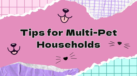 Tips for Multi-Pet Households