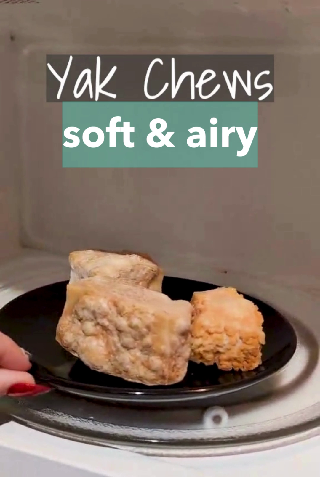 Front view of yak chew pieces microwaved; Front view of yak chew pieces puffed and soft and airy; How to microwave yak chews. How to puff up yak chews. How to make yak chews soft and airy. 