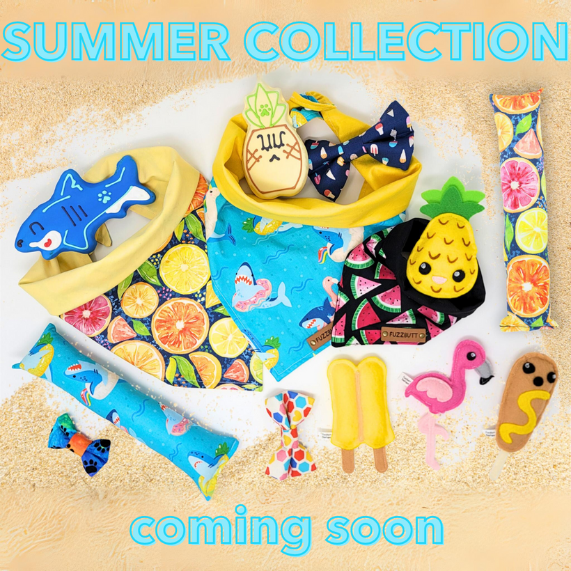SUMMER 2024