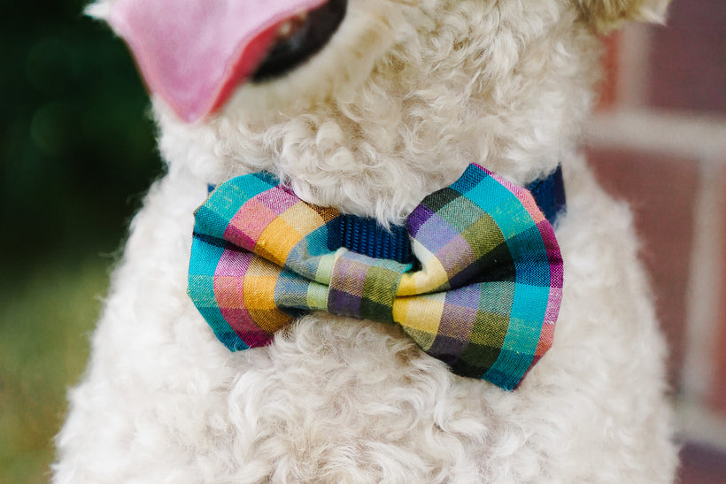 Bow Ties