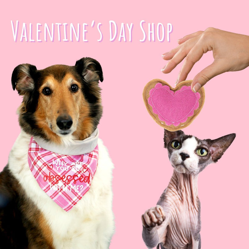 Valentine&#39;s