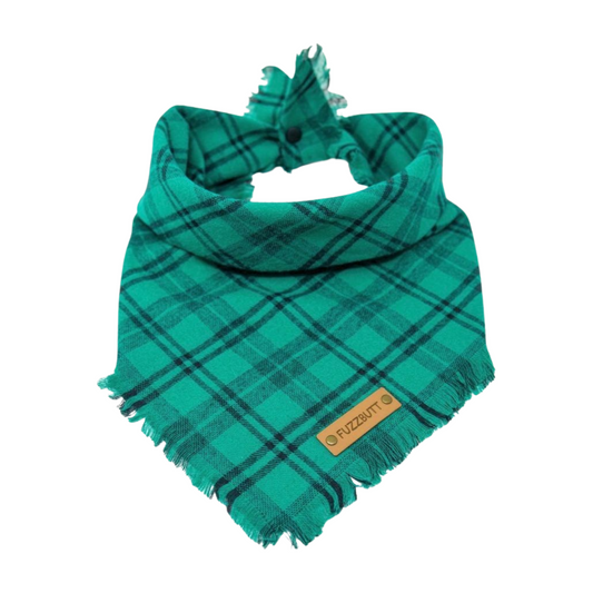 Green and Black - Pet Scarf