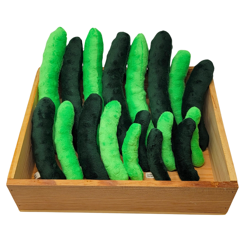 Other Cat Toys