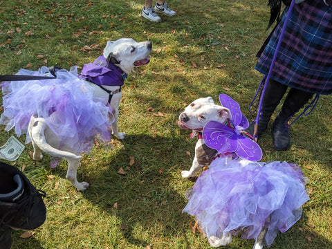 Purple Tutu