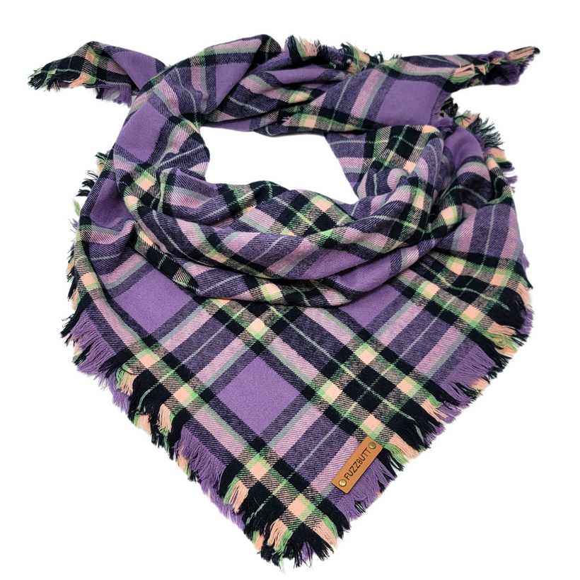Blanket Scarf