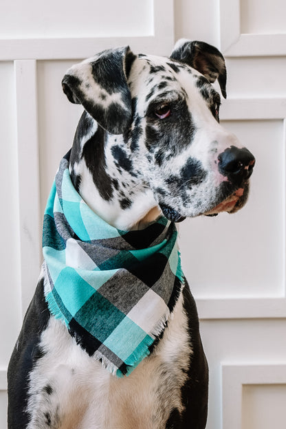 Blue, Black, and White Plaid - Pet Scarf