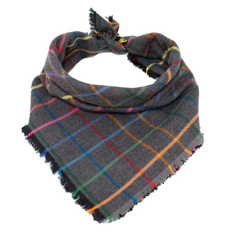 Grey and Rainbow Plaid - Pet Scarf