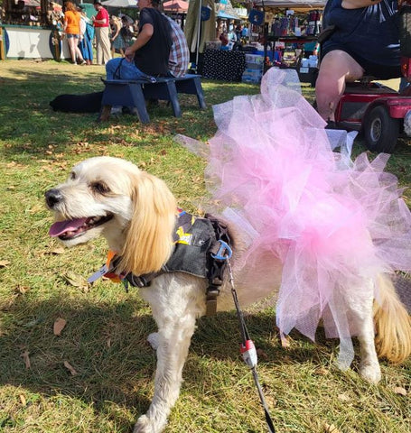 Pink Tutu