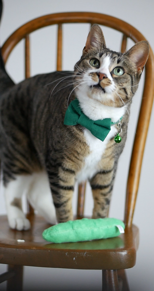 Green - Bow Tie
