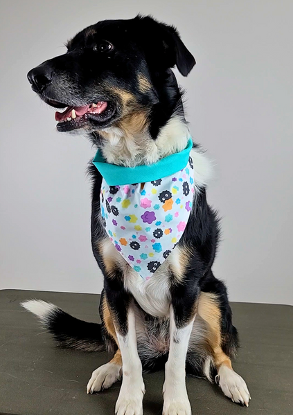 front view of a dog modeling a handmade Studio Ghibli dog bandana featuring black soot sprites among colorful flowers; this pattern is called Soot Sprites