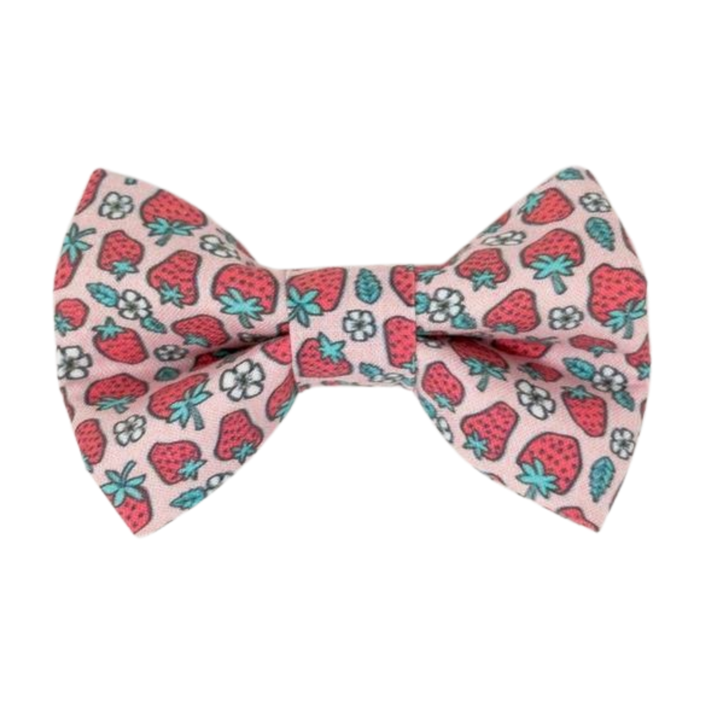 Strawberries - Bow Tie