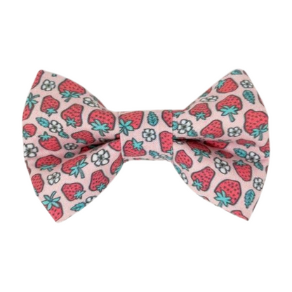 Strawberries - Bow Tie