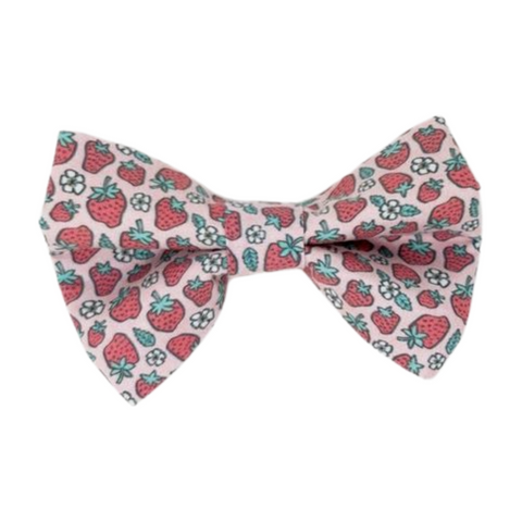 Strawberries - Bow Tie