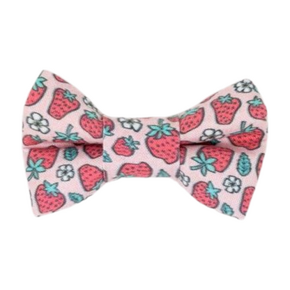 Strawberries - Bow Tie