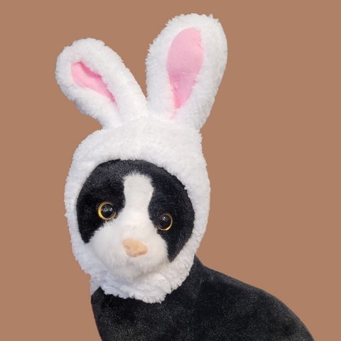 Bunny Ears Hat