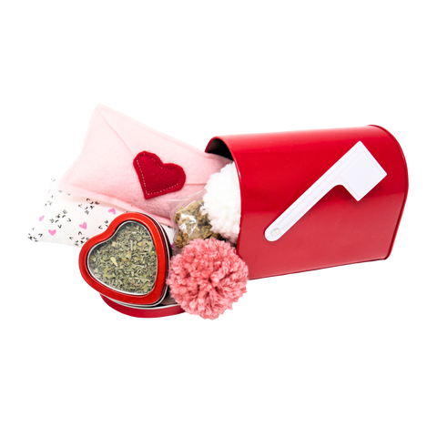 Kitty Valentine's Mailbox - Pink Love Note