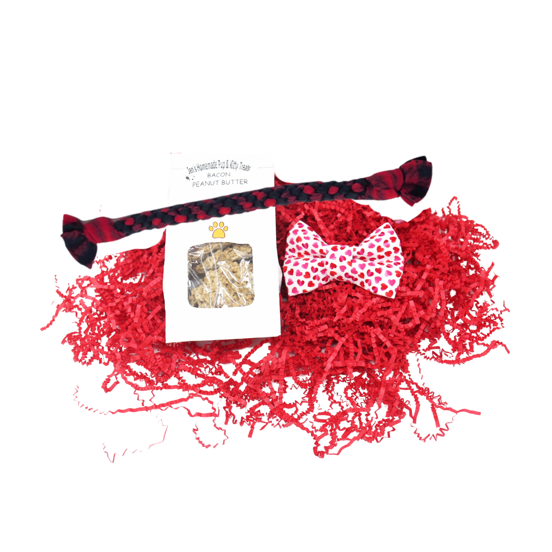 Puppy Valentine's Bow Tie Red Box