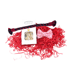 Puppy Valentine's Bow Tie Red Box