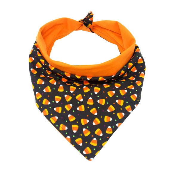 Candy Corn - Pet Bandana