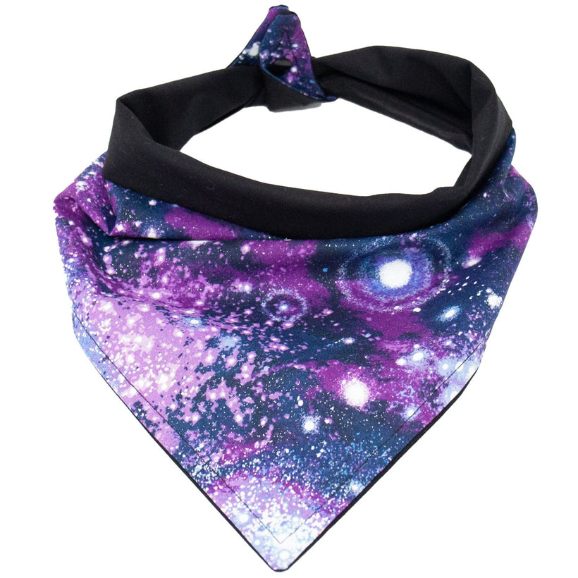 Pet Apparel
