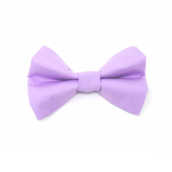 Lavender -Bow Tie