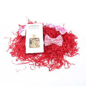 Puppy Valentine's Bow Tie Red Box